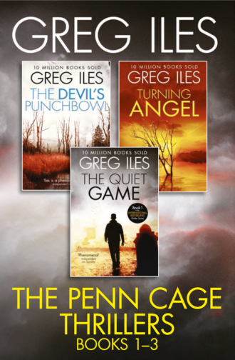 Greg  Iles. Greg Iles 3-Book Thriller Collection: The Quiet Game, Turning Angel, The Devil’s Punchbowl