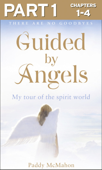 Paddy McMahon. Guided By Angels: Part 1 of 3: There Are No Goodbyes, My Tour of the Spirit World