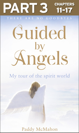 Paddy McMahon. Guided By Angels: Part 3 of 3: There Are No Goodbyes, My Tour of the Spirit World