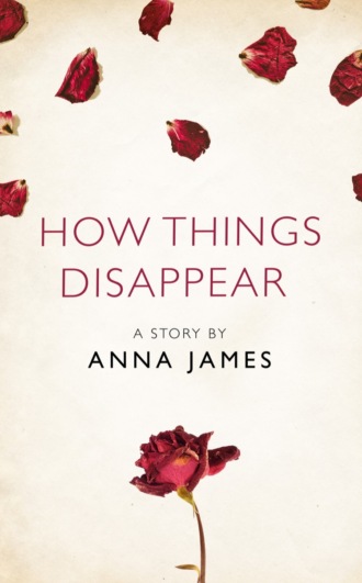 How Things Disappear: A Story from the collection, I Am Heathcliff. Anna  James