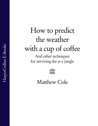 Matthew  Cole. How to predict the weather with a cup of coffee: And other techniques for surviving the 9–5 jungle