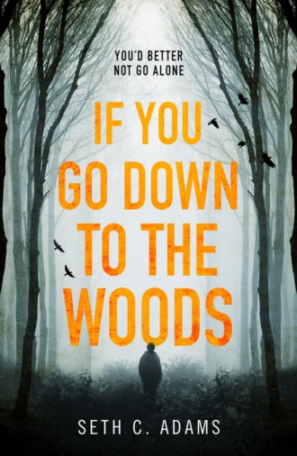 Seth Adams C.. If You Go Down to the Woods: The most powerful and emotional debut thriller of 2018!
