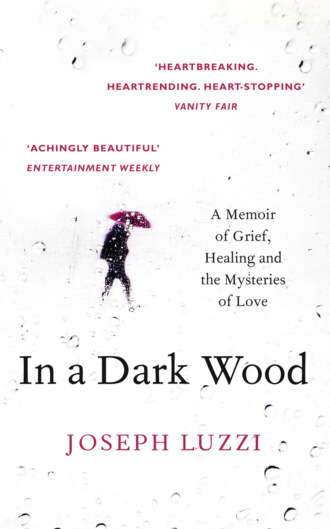 Joseph  Luzzi. In a Dark Wood: What Dante Taught Me About Grief, Healing, and the Mysteries of Love