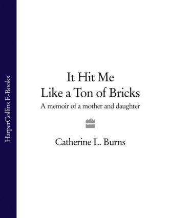 Catherine Burns L.. It Hit Me Like a Ton of Bricks: A memoir of a mother and daughter