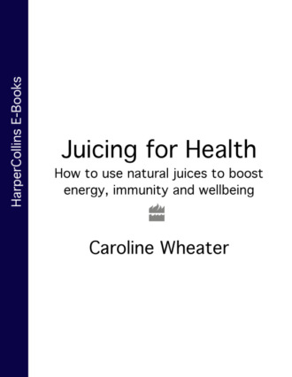 Caroline Wheater. Juicing for Health: How to use natural juices to boost energy, immunity and wellbeing