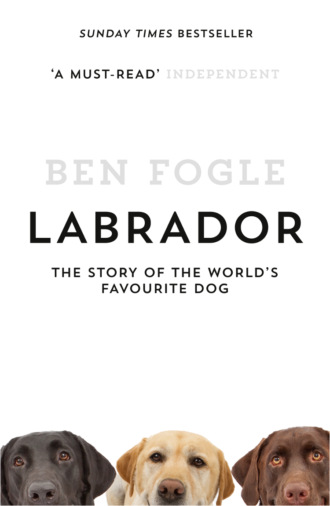 Ben Fogle. Labrador: The Story of the World’s Favourite Dog