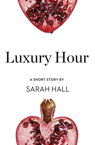Luxury Hour: A Short Story from the collection, Reader, I Married Him. Sarah  Hall
