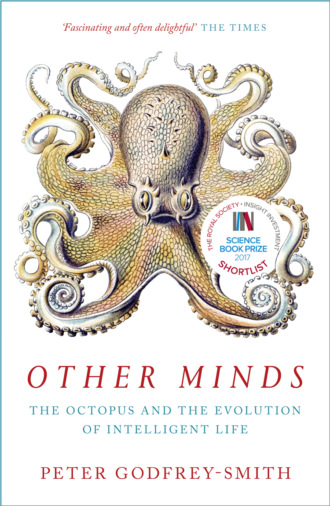 Питер Годфри-Смит. Other Minds: The Octopus and the Evolution of Intelligent Life