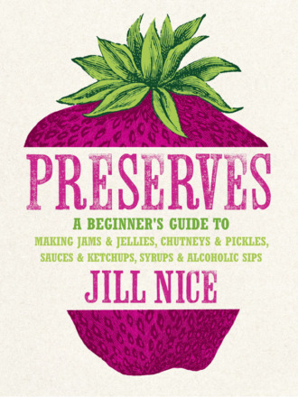 Jill Nice. Preserves: A beginner’s guide to making jams and jellies, chutneys and pickles, sauces and ketchups, syrups and alcoholic sips