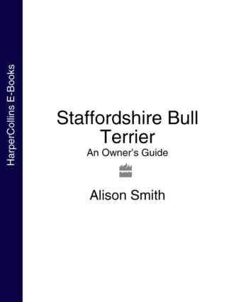 Alison  Smith. Staffordshire Bull Terrier: An Owner’s Guide