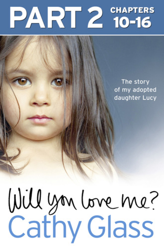 Cathy Glass. Will You Love Me?: The story of my adopted daughter Lucy: Part 2 of 3