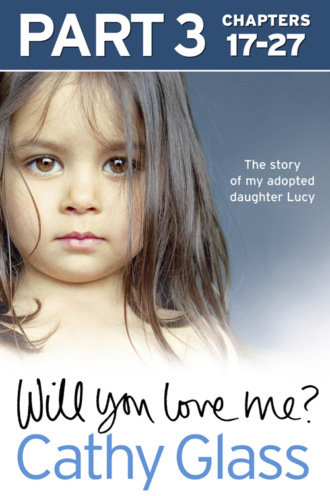Cathy Glass. Will You Love Me?: The story of my adopted daughter Lucy: Part 3 of 3