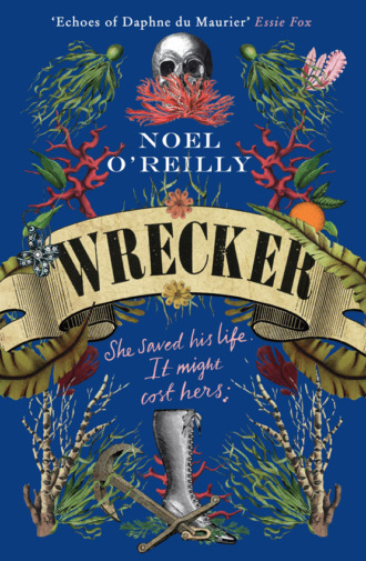 Noel O’Reilly. Wrecker: A gripping debut for fans of Poldark and the Essex Serpent