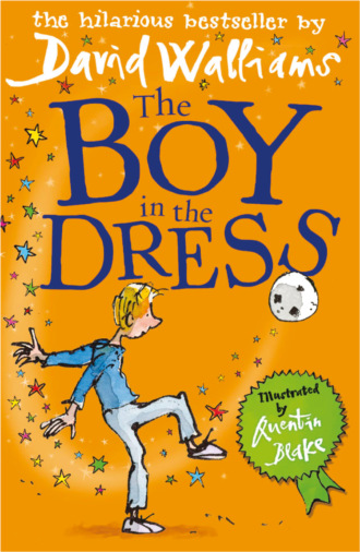 Quentin  Blake. The Boy in the Dress