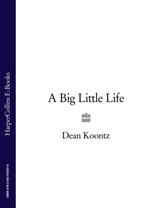 Dean Koontz. A Big Little Life