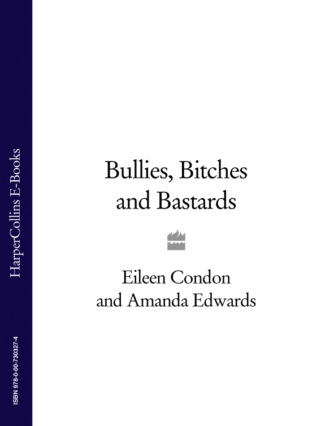 Eileen Condon. Bullies, Bitches and Bastards