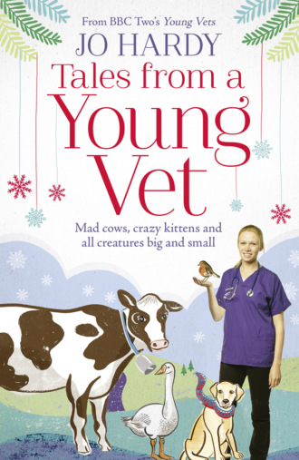 Jo  Hardy. Tales from a Young Vet: Mad cows, crazy kittens, and all creatures big and small