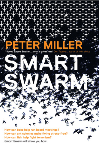 Peter  Miller. Smart Swarm: Using Animal Behaviour to Organise Our World