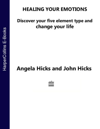 Angela  Hicks. Healing Your Emotions: Discover your five element type and change your life
