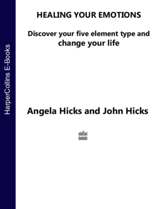 Healing Your Emotions: Discover your five element type and change your life. Angela  Hicks