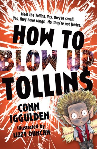 Conn  Iggulden. HOW TO BLOW UP TOLLINS