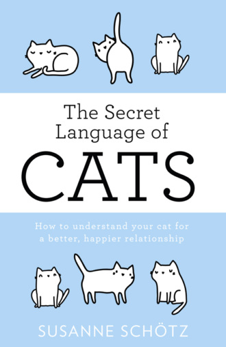 Susanne Sch?tz. The Secret Language Of Cats