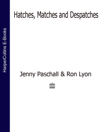Jenny  Paschall. Hatches, Matches and Despatches