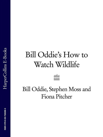 Stephen  Moss. Bill Oddie’s How to Watch Wildlife