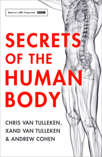 Andrew  Cohen. Secrets of the Human Body