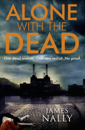 James  Nally. Alone with the Dead: A PC Donal Lynch Thriller