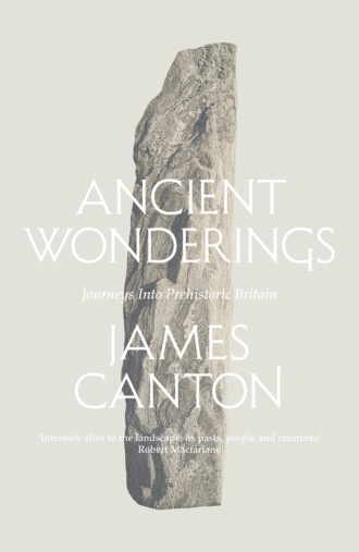 James  Canton. Ancient Wonderings: Journeys Into Prehistoric Britain