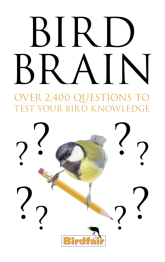 Литагент HarperCollins USD. Bird Brain: Over 2,400 Questions to Test Your Bird Knowledge