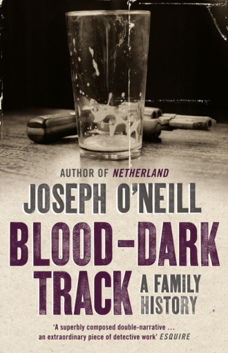 Joseph O’Neill. Blood-Dark Track: A Family History