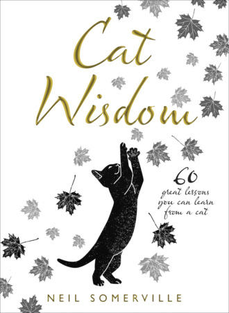 Neil  Somerville. Cat Wisdom: 60 great lessons you can learn from a cat