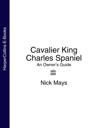 Nick  Mays. Cavalier King Charles Spaniel: An Owner’s Guide