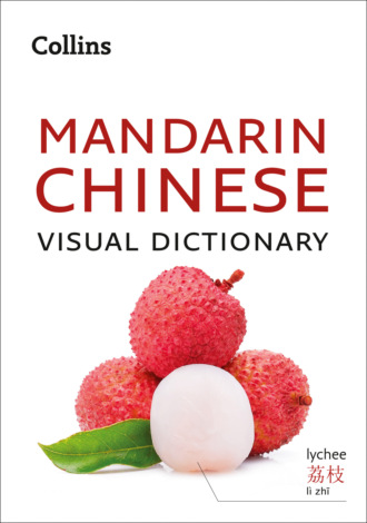 Collins  Dictionaries. Collins Mandarin Chinese Visual Dictionary