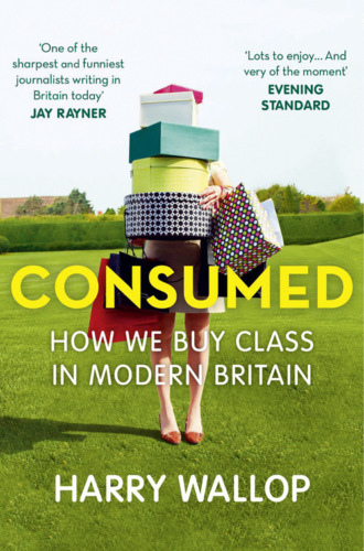 Harry Wallop. Consumed: How We Buy Class in Modern Britain