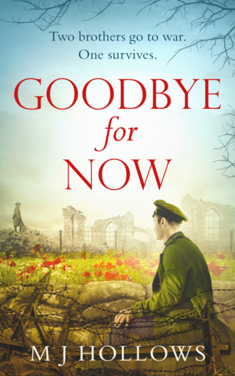 M.J. Hollows. Goodbye for Now: A breathtaking historical debut