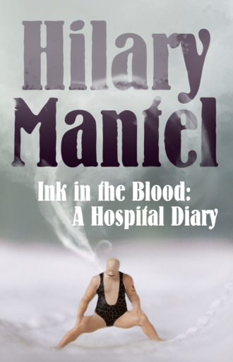Hilary  Mantel. Ink in the Blood: A Hospital Diary