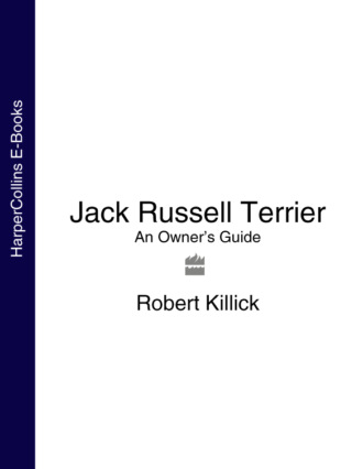 Robert Killick. Jack Russell Terrier: An Owner’s Guide