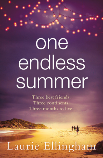 Laurie  Ellingham. One Endless Summer: Heartwarming and uplifting the perfect holiday read