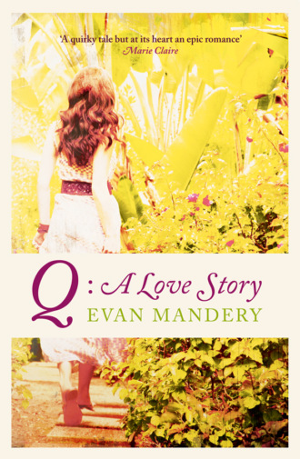 Q: A Love Story. Evan  Mandery