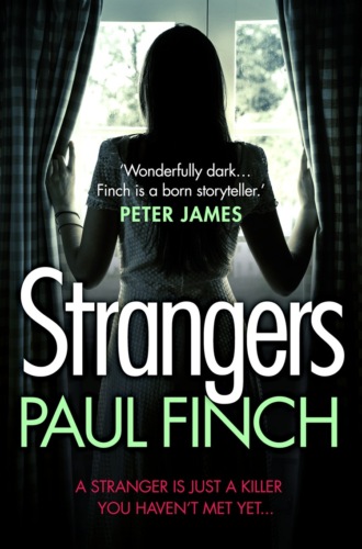 Paul  Finch. Strangers: The unforgettable crime thriller from the #1 bestseller