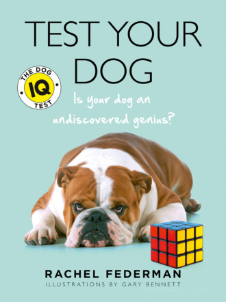 Rachel Federman. Test Your Dog: Is Your Dog an Undiscovered Genius?