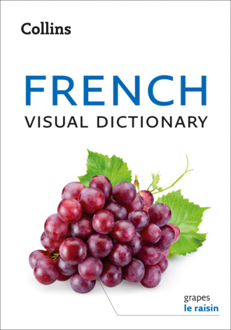 Collins  Dictionaries. Collins French Visual Dictionary