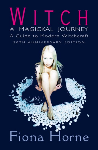 Fiona  Horne. Witch: a Magickal Journey: A Guide to Modern Witchcraft