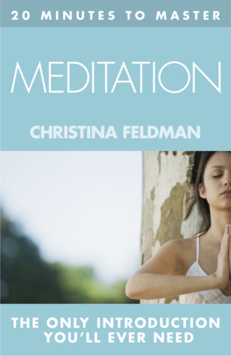 20 MINUTES TO MASTER … MEDITATION. Christina  Feldman