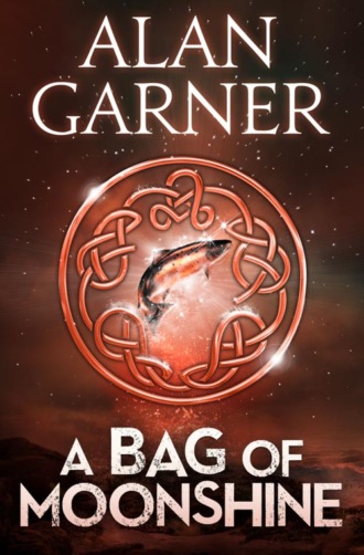 Alan Garner. A Bag Of Moonshine