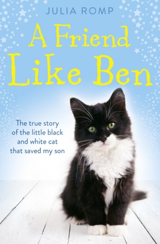 Julia Romp. A Friend Like Ben: The true story of the little black and white cat that saved my son