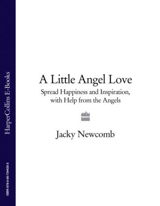 Jacky  Newcomb. A Little Angel Love: Spread Happiness and Inspiration, with Help from the Angels